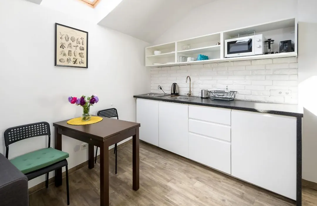 Modern Aparment In The Very Central Location 19-1