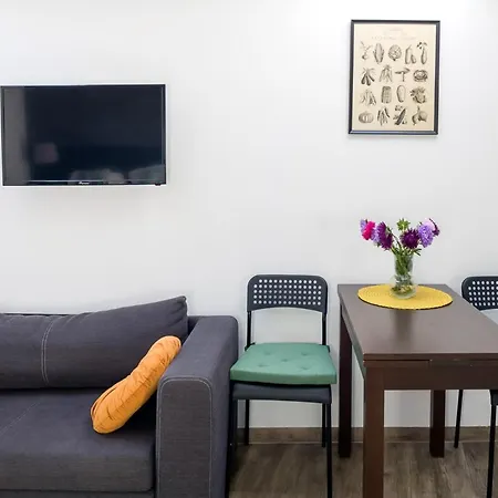 Modern Aparment In The Very Central Location 19-3