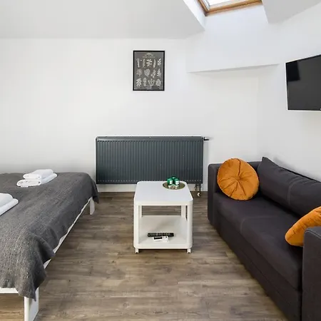 Modern Aparment In The Very Central Location 19-3