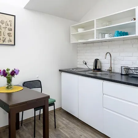 Modern Aparment In The Very Central Location 19-2